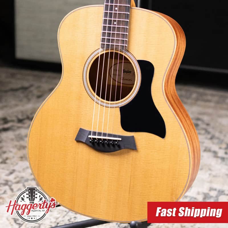 Taylor GS Mini Sapele