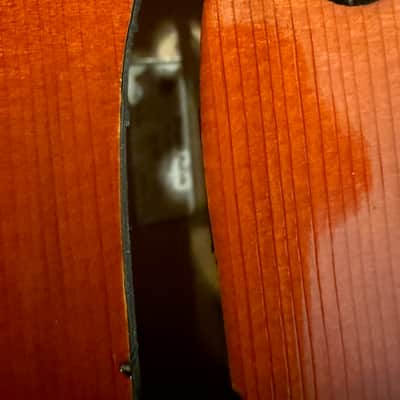 Full Size 4/4 Handmade Burak Cello 2020 - Natural image 21