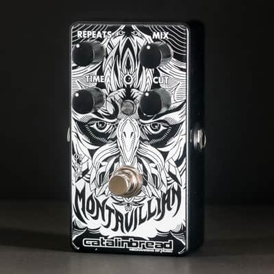 Catalinbread Montavillain 2022 Black and White image 2