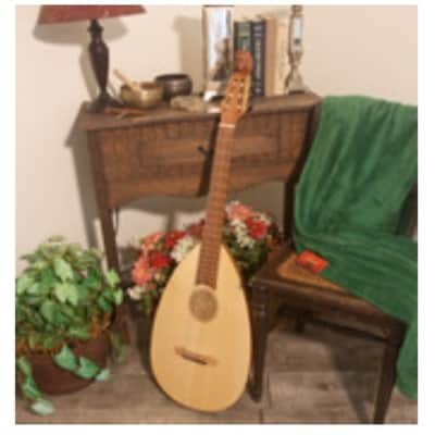 Roosebeck GLNVG | Lute-Guitar, 6 String, Variegated, Gears. New with Full Warranty! image 8