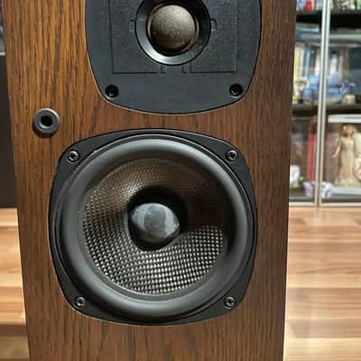 Castle Acoustics Kendal mid 90s - Walnut yew finish image 2
