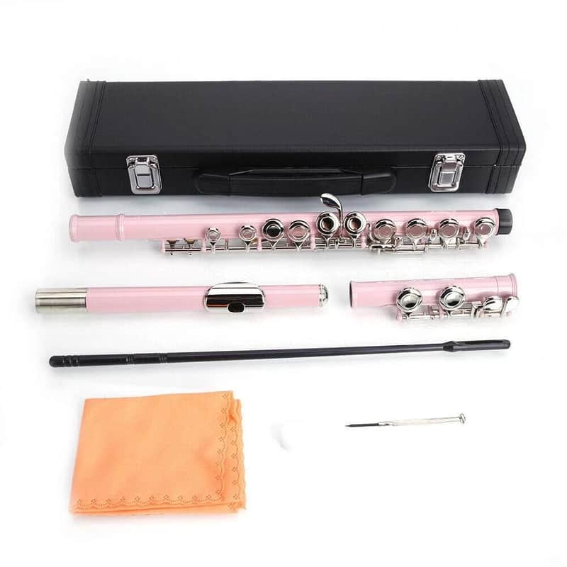Cxxss Pink School Band Student 16 Hole C Flute Set With Case & Accessories Gift image 1