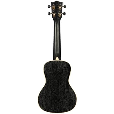 Kala Brand Solid Mahogany Doghair Salt & Pepper Concert Ukulele image 5