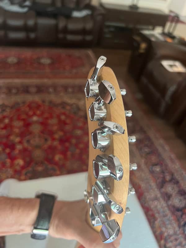 Fernande Nomad Deluxe Electric Guitars Silver/Gray image 1