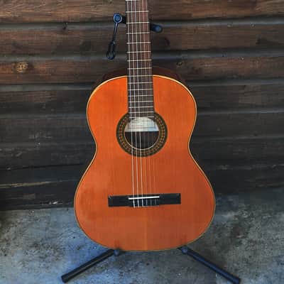 Francisco Manuel Diaz Classic guitar image 1