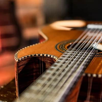 Oscar Schmidt OH52SE Solid Cedar Top Mahogany Neck 12-String Acoustic-Electric Bajo Sexto w/Deluxe Padded Gig Bag image 6