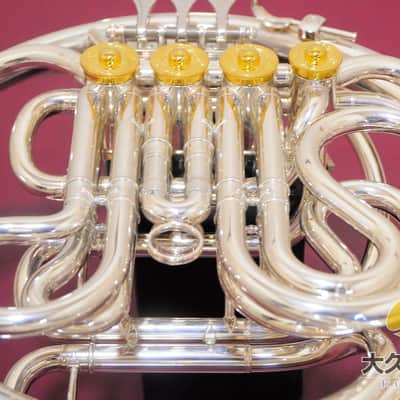 YAMAHA YHR-87DBS 120th Anniversary Full Double Horn image 8