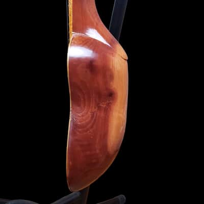 Vegan Bolivian Charango Hand-Carved Wood Back 10 String image 8