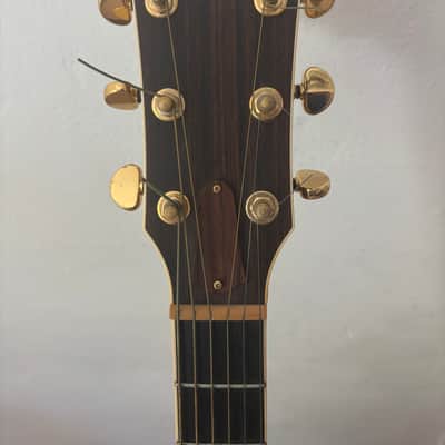 Taylor 815c 1974 - 2005 - Natural image 4