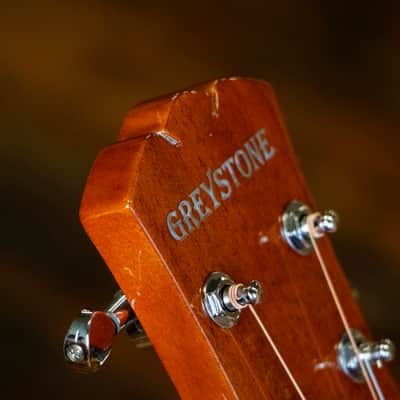 Greystone Road Trip Mini Acoustic Guitar with Gigbag image 17