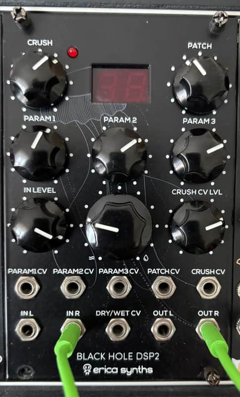 Erica Synths Black Hole DSP 2