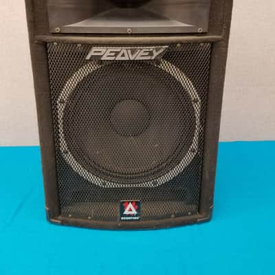 Peavey SP-5X 2-Way 15" Scorpion w/Horn 700 Watts PA Speaker Cabinet image 1