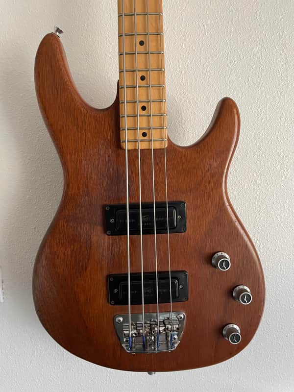 Peavey USA Foundation Bass, Mahogany with Hard Case image 1