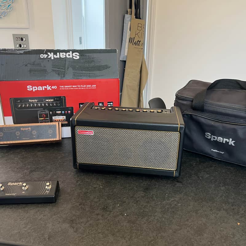 2020 – Present Positive Grid Spark 40 40-Watt 2×4″ Modeling Gu…