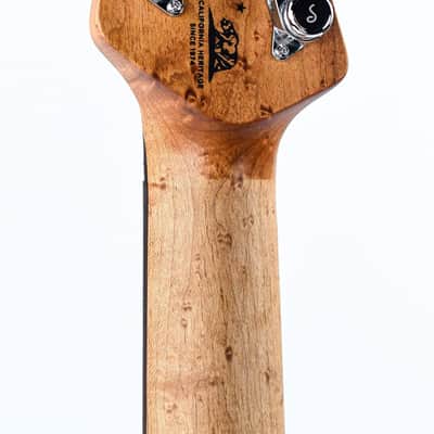 Music Man Luke 4 Maple Top Gator Burst image 6