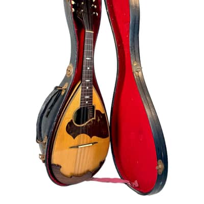 Concert Mandolin G. Kasermann (Carlo Sartori Label) from 1929 image 19
