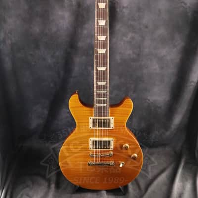 Gibson Les Paul Standard DC image 2