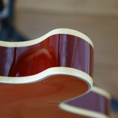 D'Angelico Premier DC Semi-Hollow Double Cutaway - Burnt Red image 15
