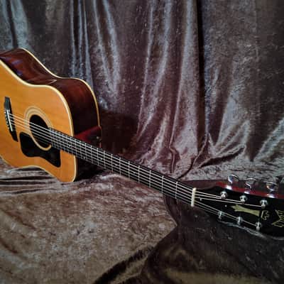 Guild D-50 Dreadnought Acoustic 1974 One Owner! Highly Figured Rosewood Back image 2