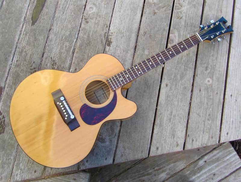 Harptone S-6NC Sultan guitar Sam Koontz vintage 1960s 1970s Vintage arched back cutaway image 1