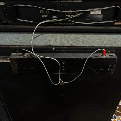 Acoustic Model 230 head with 407 Cab image 5