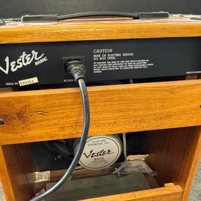 Vester Acoustic Amp VA 210 AG image 4