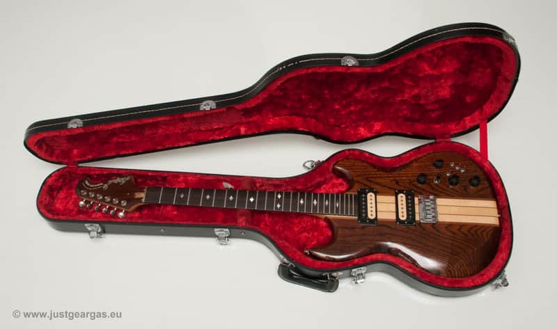 Vintage 80's Aria Pro II Hardcase for TS and RS Models | Reverb