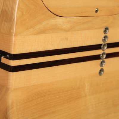 1979 Washburn Eagle Natural image 13