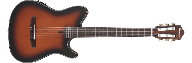 Ibanez FRH10N A/E Classical Guitar - Brown Sunburst Flat image 1