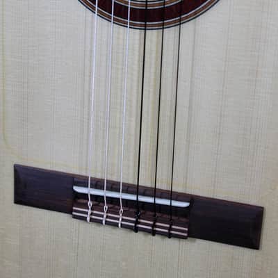 Kremona Rosa Luna RL Beech Wood Flemanco / Classical Guitar image 22