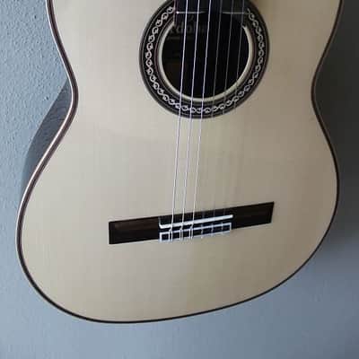 Brand New Cordoba C12 Nylon String Spruce Top Classical Guitar image 4