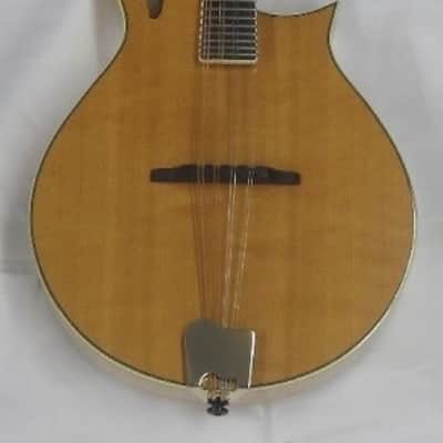 Tacoma M3 Mandolin with hard shell case image 1