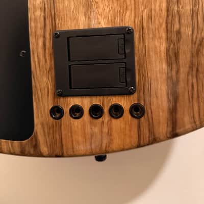 Warmoth Deluxe 5 J Bass Fretless 2025 Gloss Indian Rosewood image 10