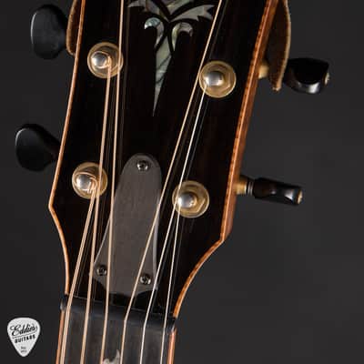 Taylor Custom TF Lutz Spruce & Brazilian Rosewood 2020 image 7