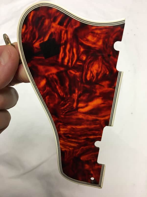 Gibson Byrdland pickguard 1967 image 1