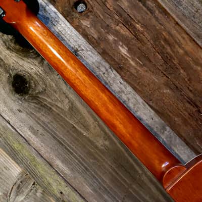Eastman SB56/TV - Vintage Amber image 16