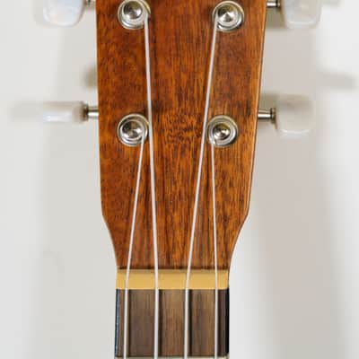 Cordoba 20TM-CE Acoustic Electric Tenor Ukulele 2021 - Natural image 4