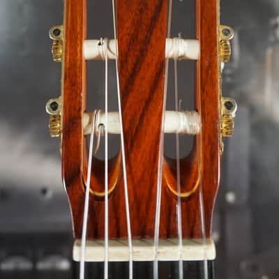 1985 Pimentel W-15 Classical Guitar w/ LR Baggs Pickup + Hard Case – USA Made image 2