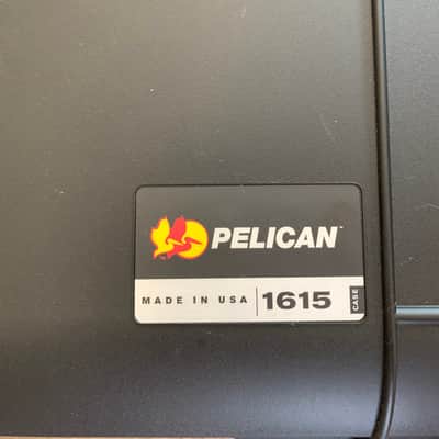 Temple Audio with Truetone CS6 and Pelican 1615 case Duo 24 image 7