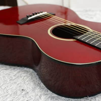 TAKAMINE T Series T-P2 See through Red PARLOR type body 630mm