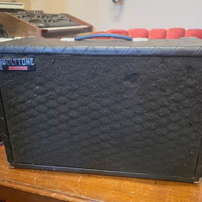 Polytone Mini-Brute V 2x10 Guitar Amplifier w Reverb And Distortion 1970s image 2