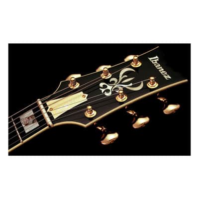 Ibanez John Scofield Signature JSM100 Hollow-Body Electric Guitar, Bound Ebony Fretboard, Vintage Sunburst image 13