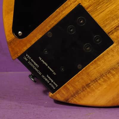 1994 Chip Wilson w/Kubicki Headless Fretless Neck Electric Bass Guitar (VIDEO! Fresh Setup) image 21