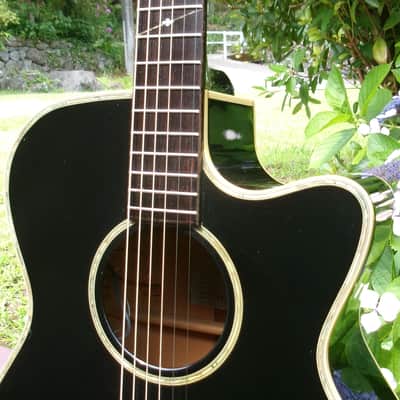 Alvarez Yairi WY-1BK Bob Weir Signature 1995 - Black (Made in Japan) with SKB Hard Case image 3