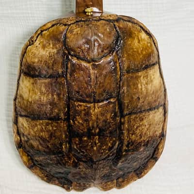 Turtle shell tenor banjo image 2