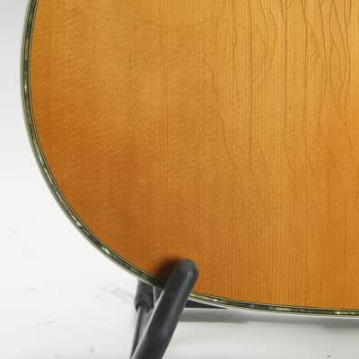 Martin D-45 w. Calton case (1977) image 11
