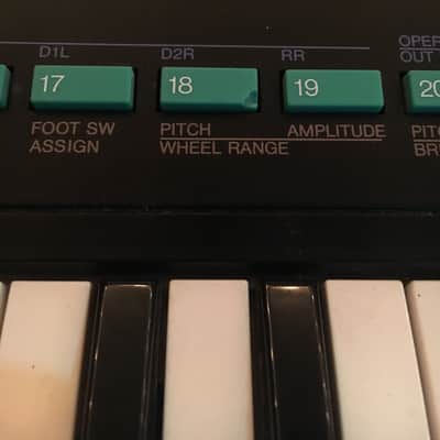 Yamaha Dx100 image 9