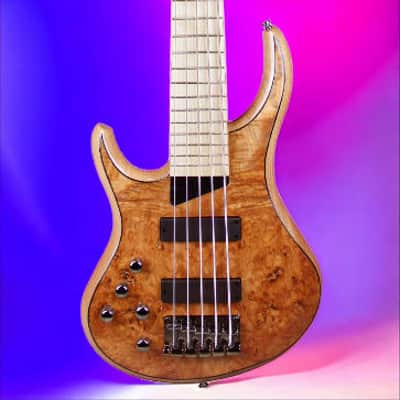 MTD Kingston Kingston Z5 lefty Natural Gloss Gloss, Maple Fretboard image 5