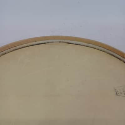 *Ludwig WFL Drum Co Slunk Transparent 14" Calf Skin Snare Head Resonant Imperial image 8