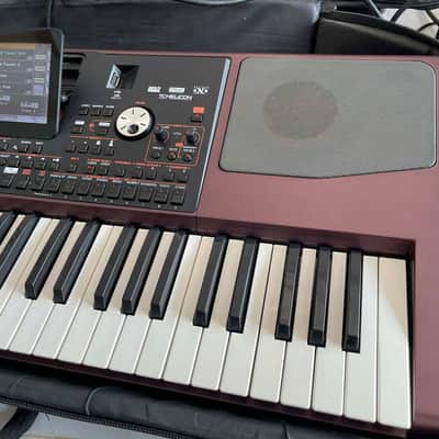 Korg PA1000 61-Key Professional Arranger 2017 - Present - Red image 3